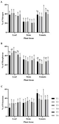 Reduced fertilization supplemented with Bacillus safensis RGM 2450 and Bacillus siamensis RGM 2529 promotes tomato production in a sustainable way